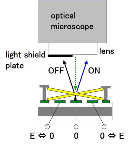 observation system